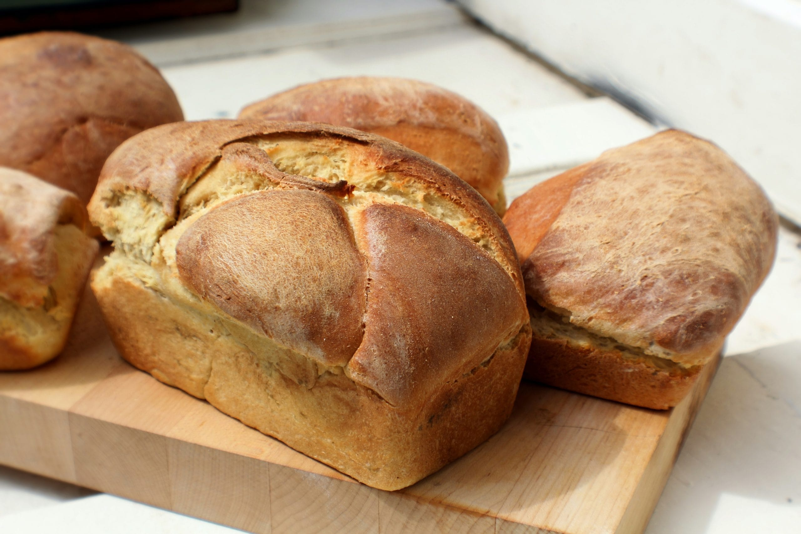 Vers brood maken