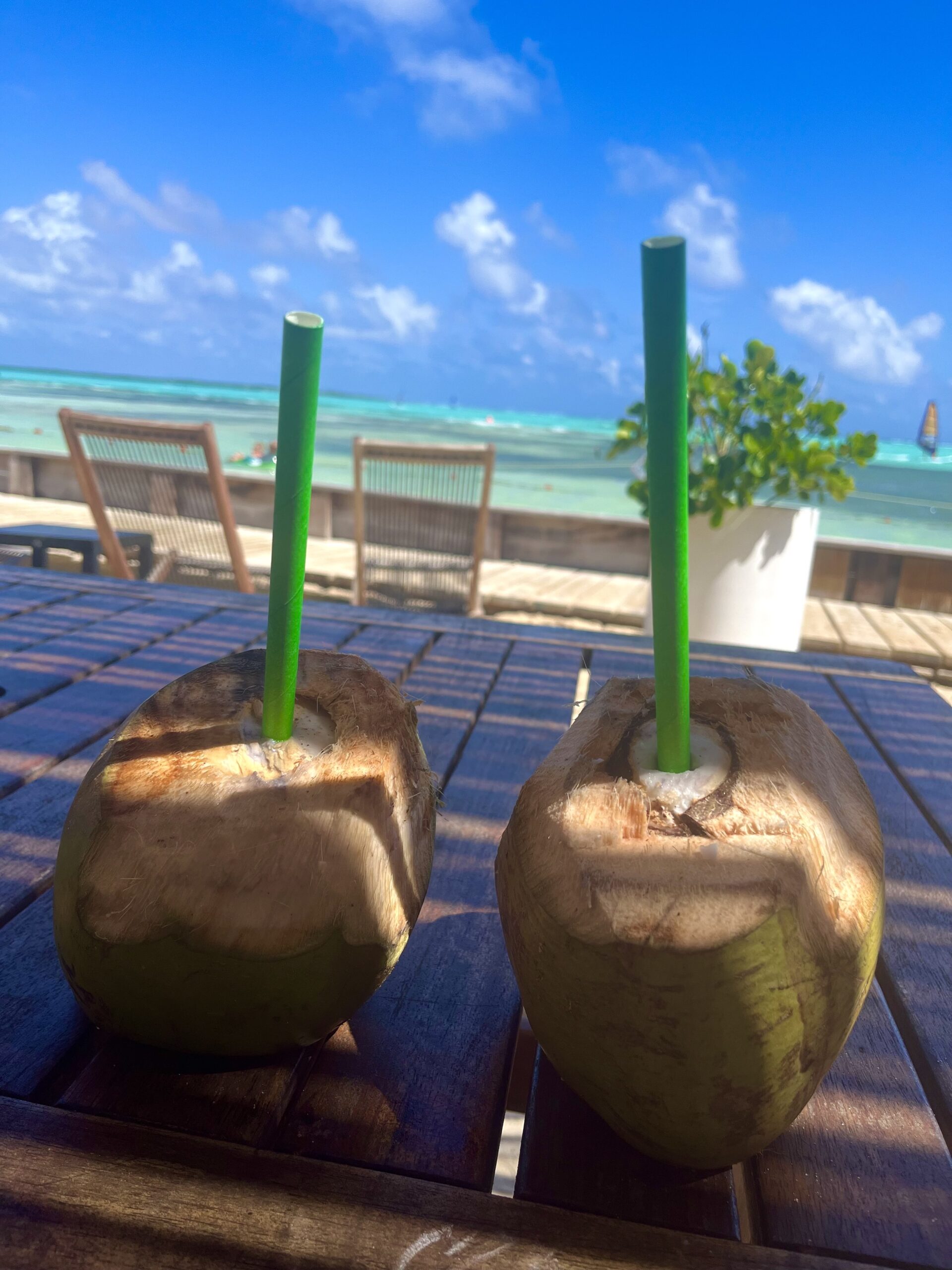 Verse kokosnoten op Bonaire